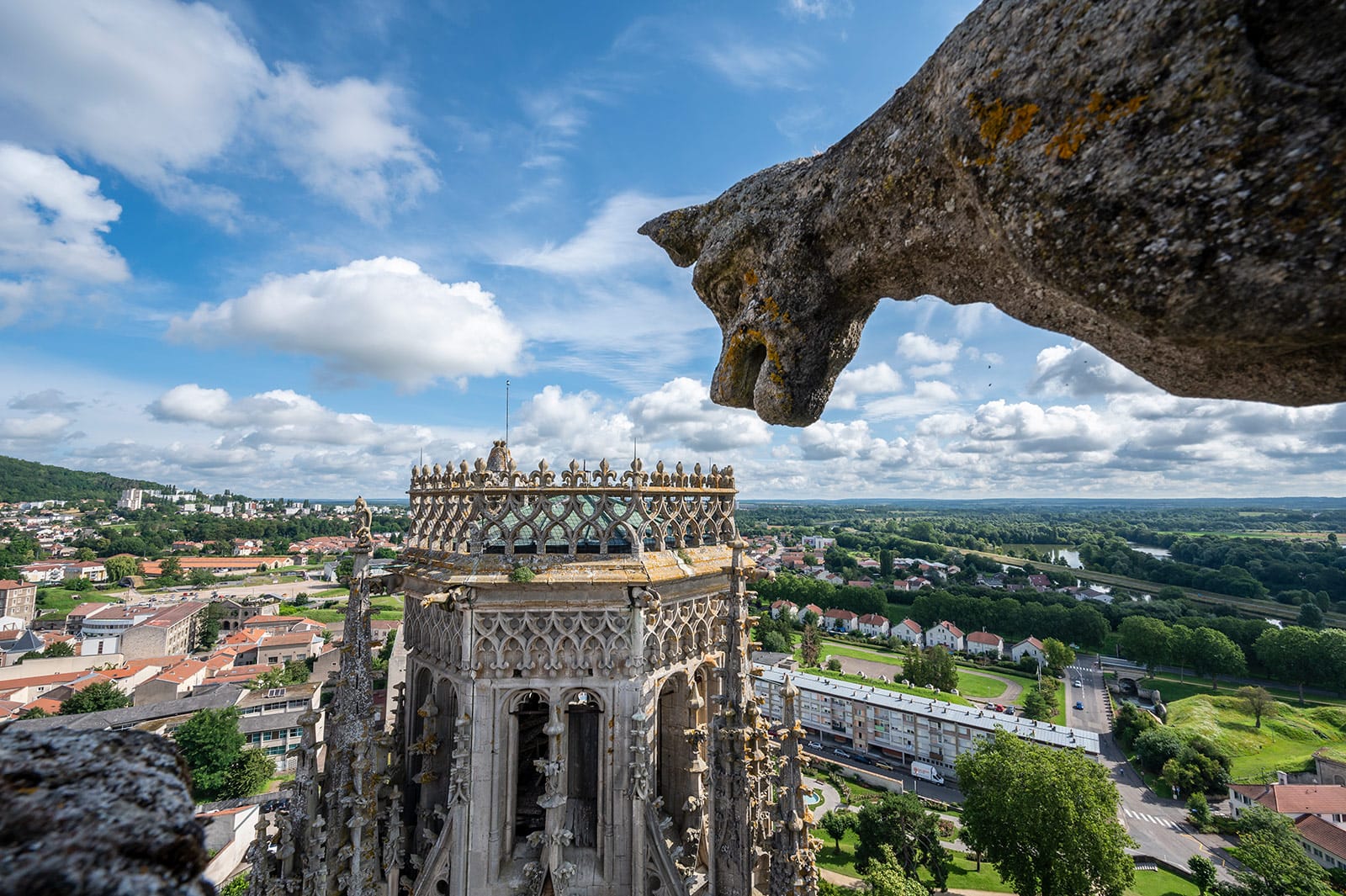 Gargouille de la cathédrale de Toul surplombant le paysage