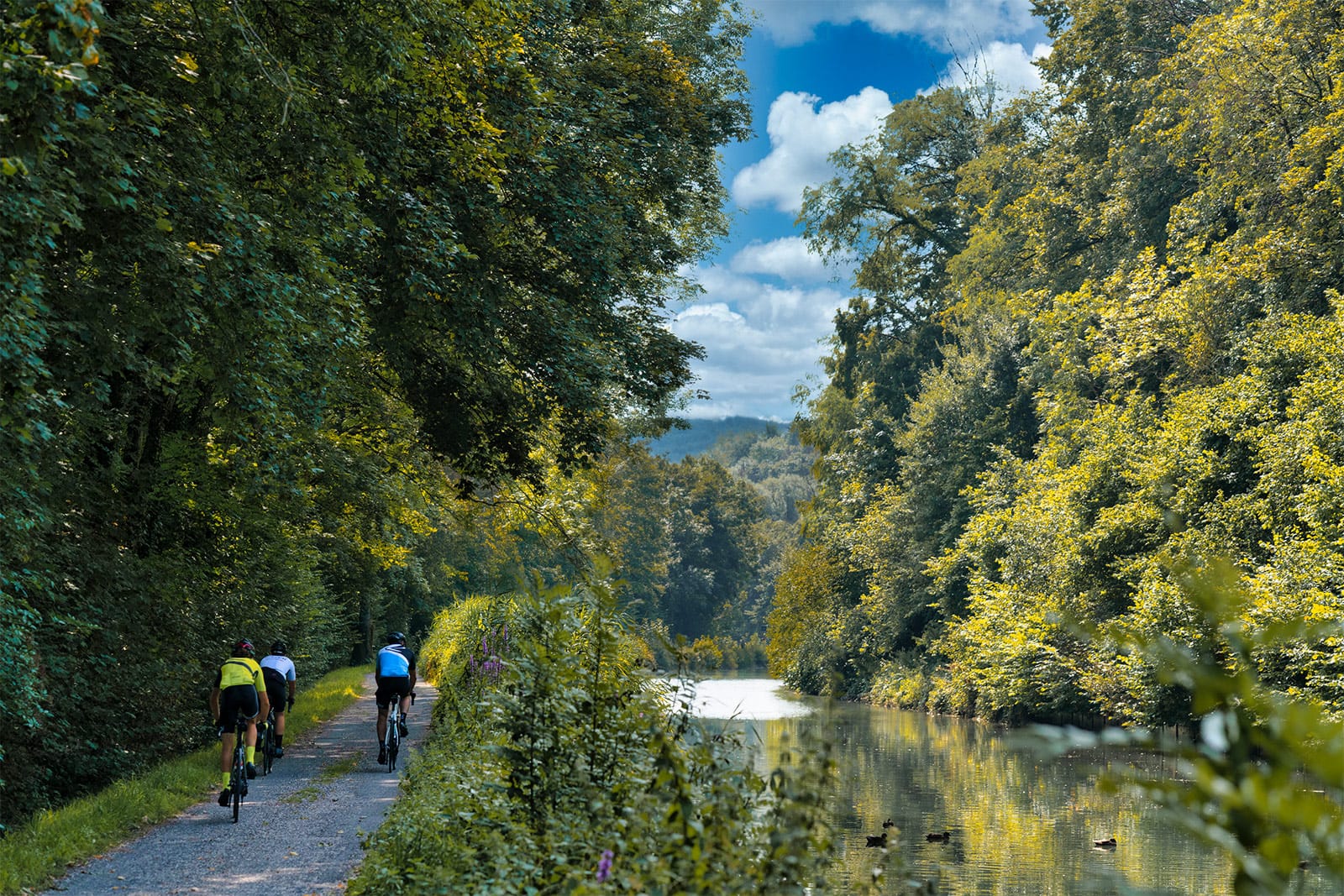 Cycliste sur la voie verte le long du canal à Longeville-en-Barrois, bordée d'arbres